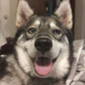 Meet your Posher, Luna